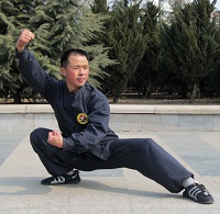 kungfu videos